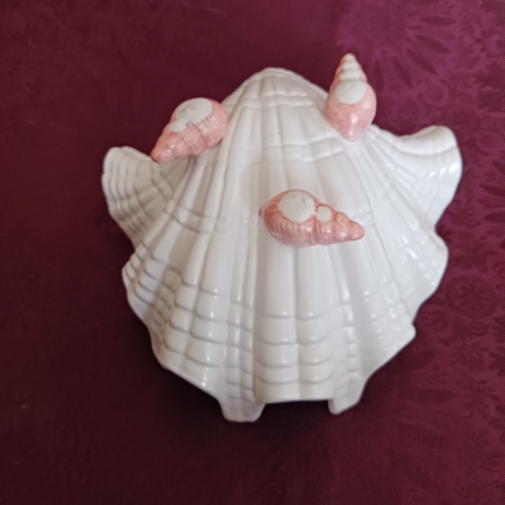 Shell dish - Picture 3 of 3